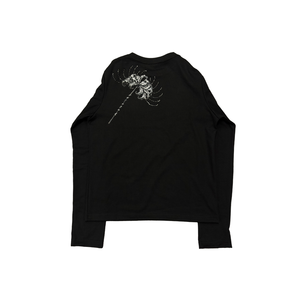 Signature script/Black spiderlily