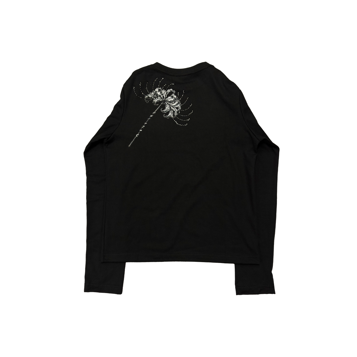 Signature script/Black spiderlily