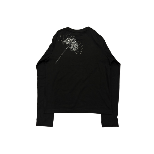 Signature script/Black spiderlily